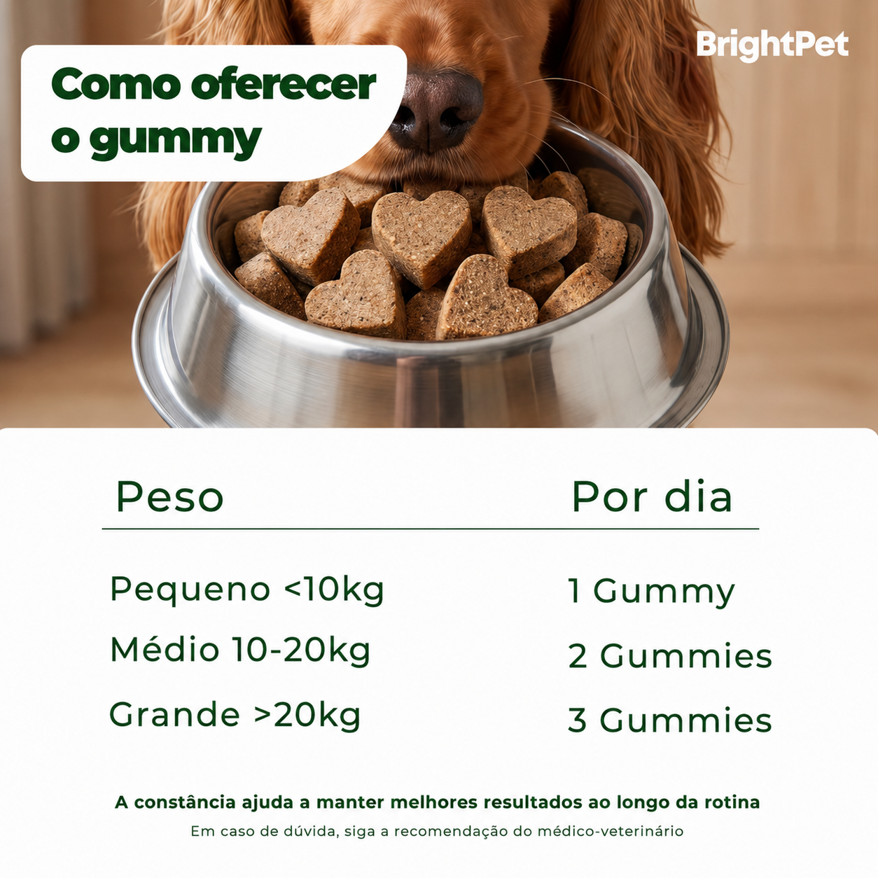 Como oferecer o gummy