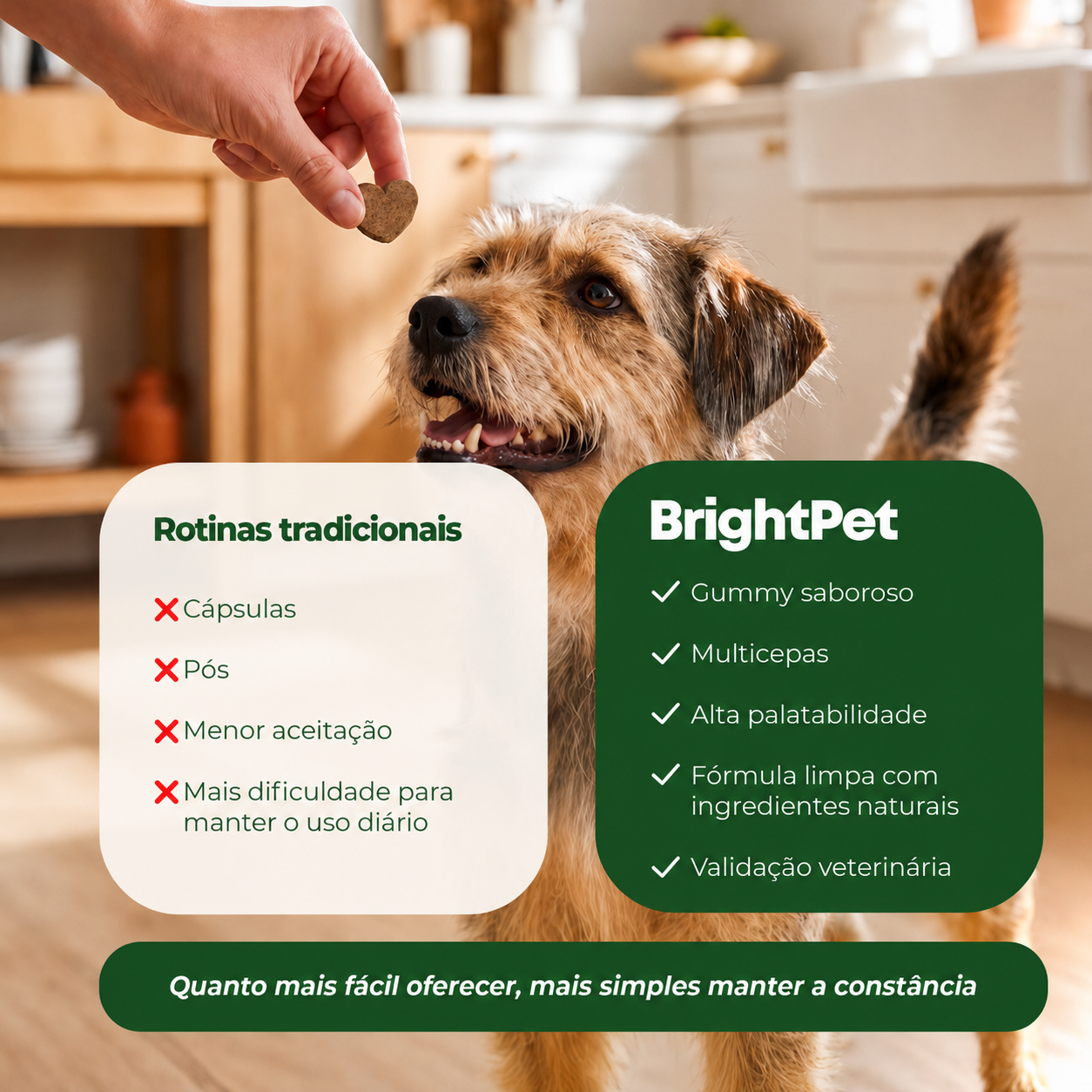Rotinas tradicionais vs BrightPet